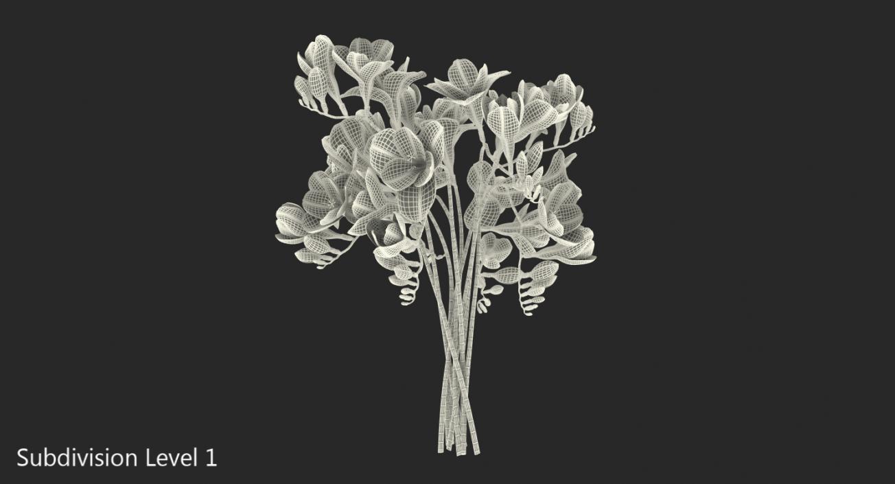 3D model Freesia Bouquet