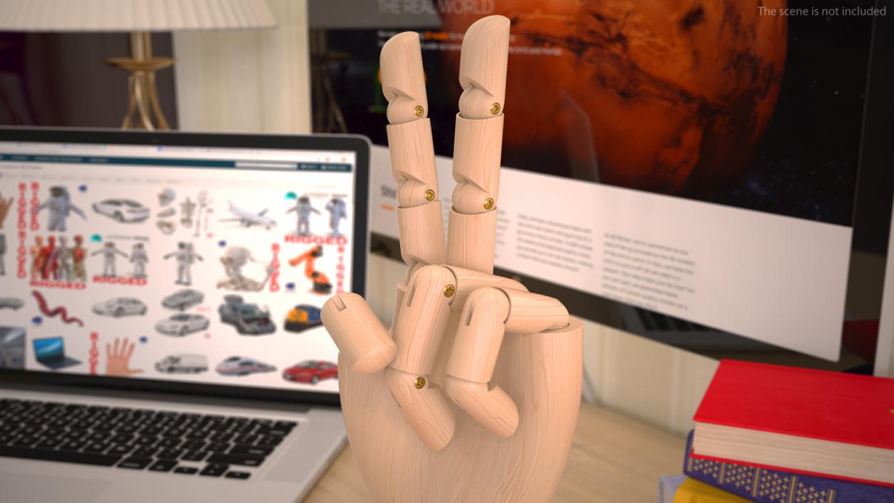 Mannequin Hand for Drawing Peace Pose 3D