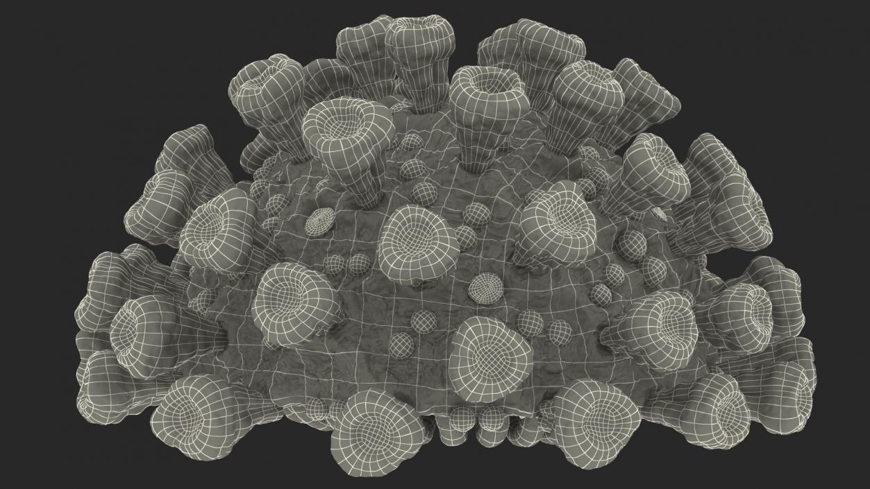 3D Coronavirus 2019-nCoV SARS-CoV-2 Cross Section