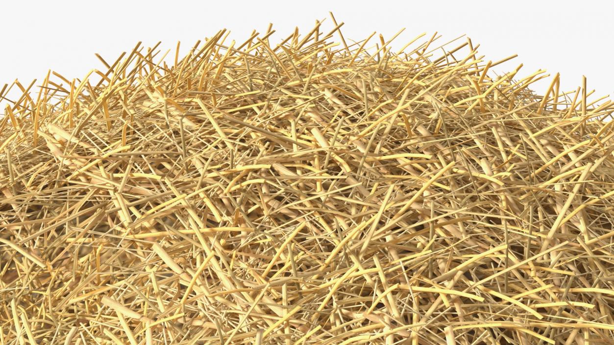 3D model Pile Hay