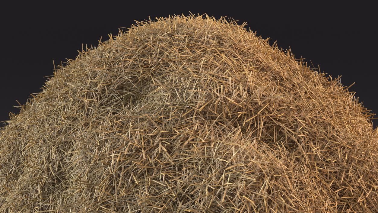 3D model Pile Hay