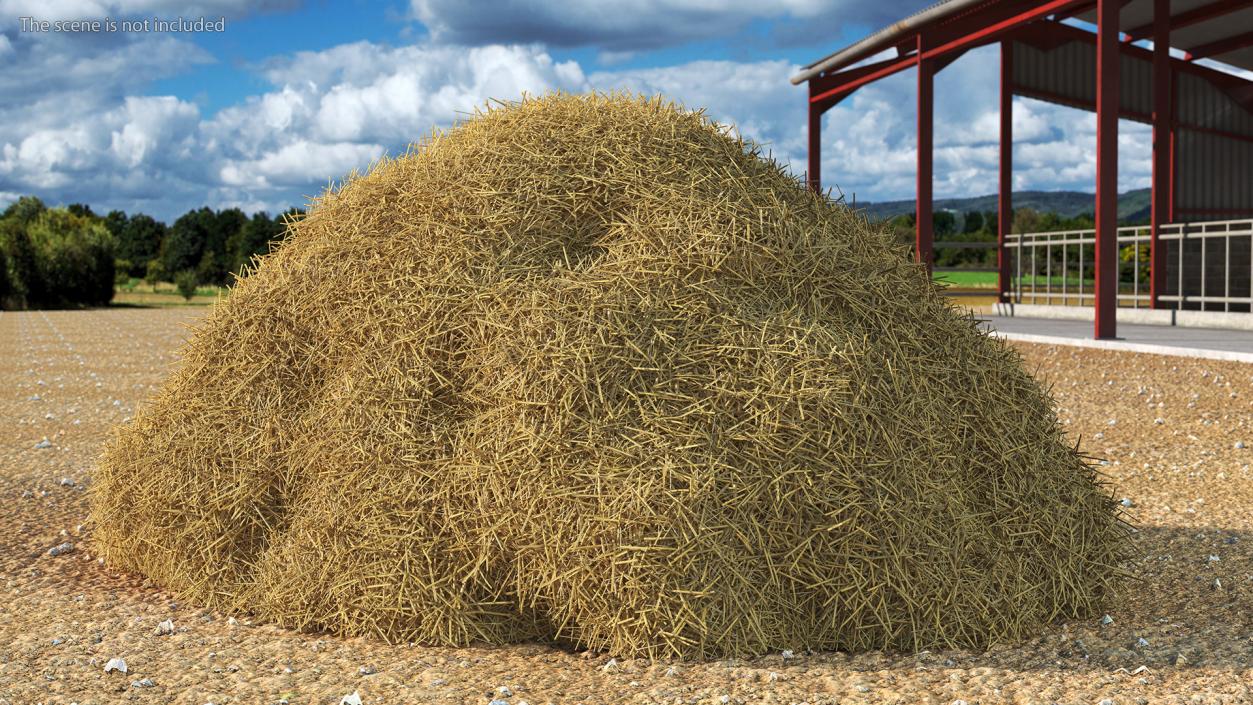 3D model Pile Hay