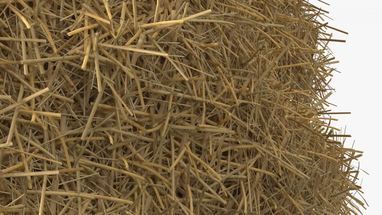 3D model Pile Hay