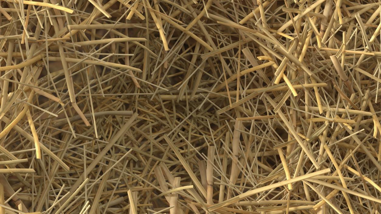 3D model Pile Hay