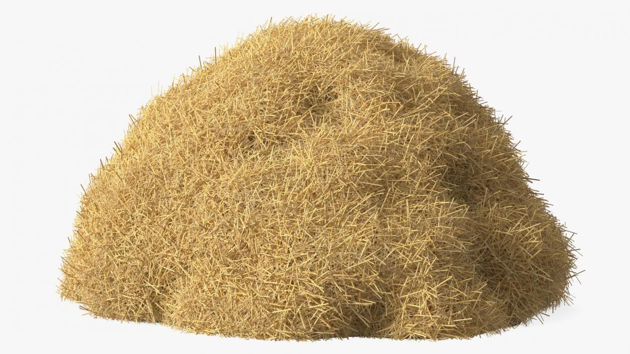 3D model Pile Hay