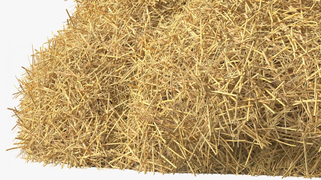 3D model Pile Hay