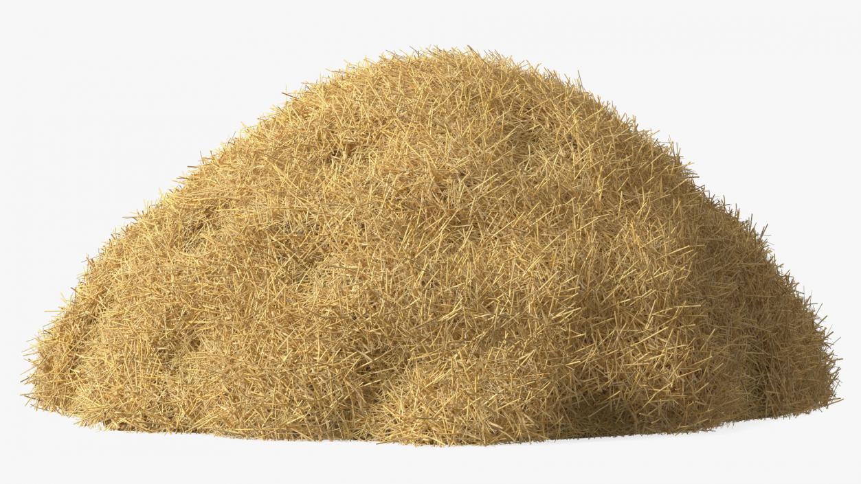 3D model Pile Hay