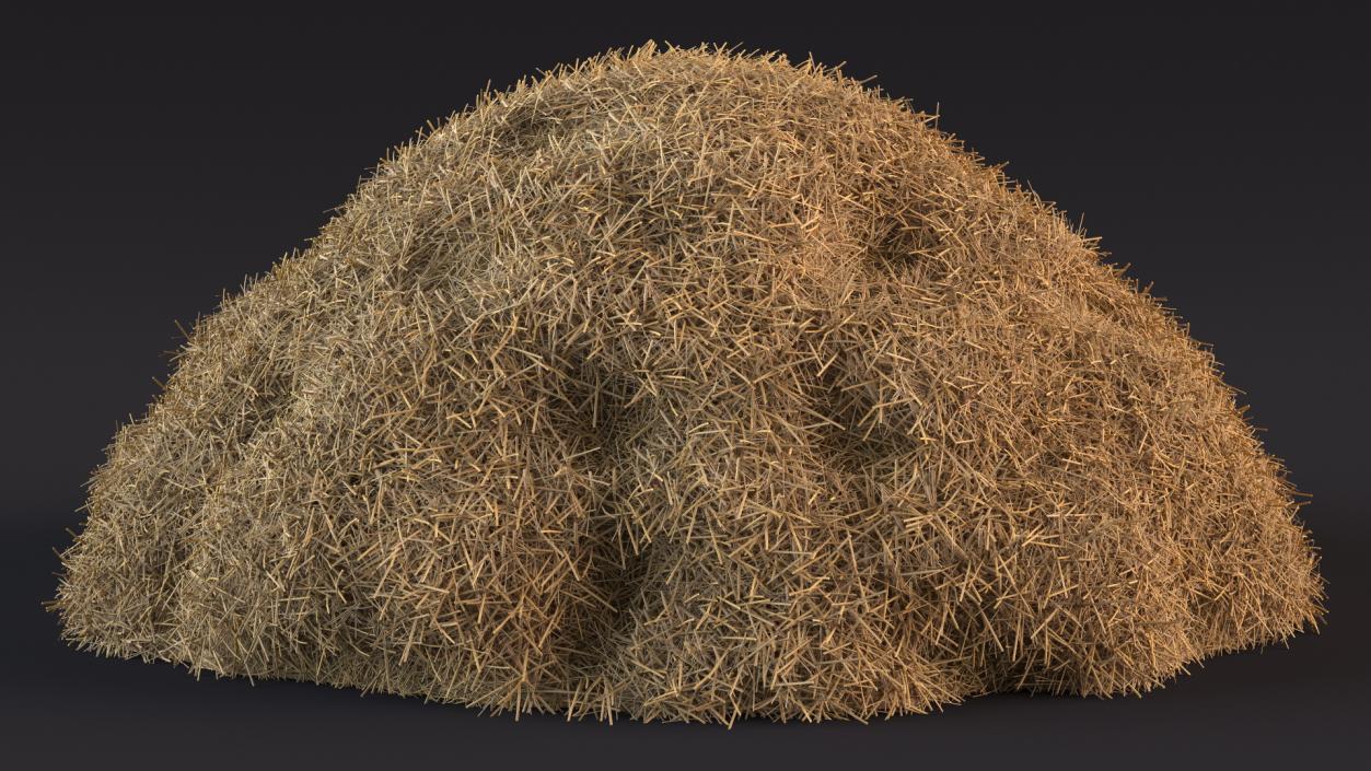 3D model Pile Hay