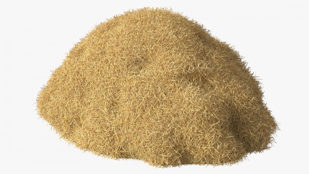 3D model Pile Hay