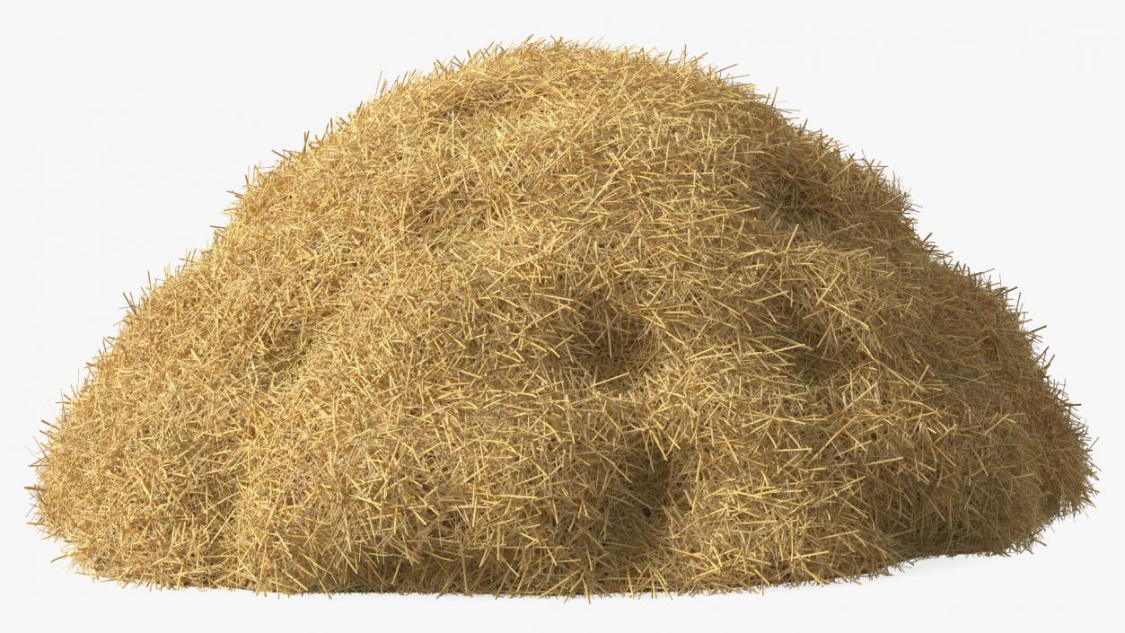 3D model Pile Hay