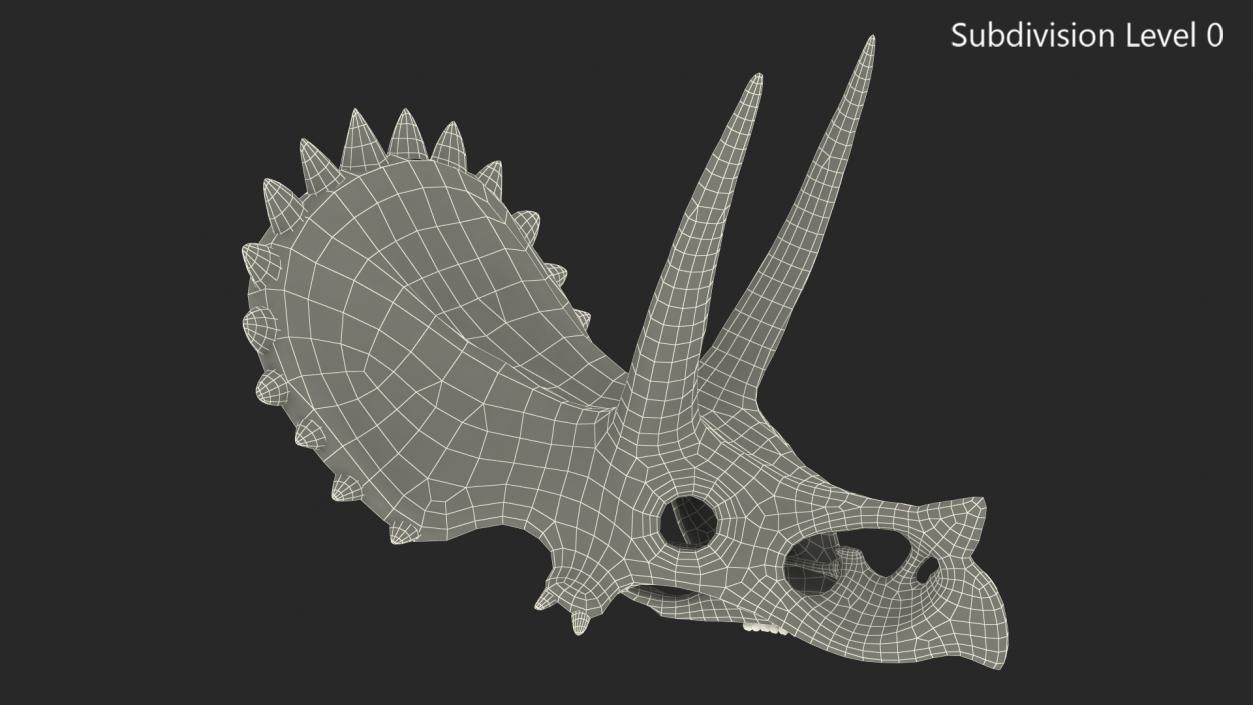 Triceratops Skull Part 3D