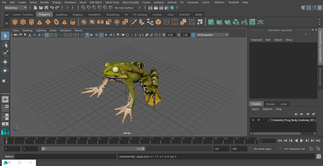 3D Complete Frog Body Anatomy