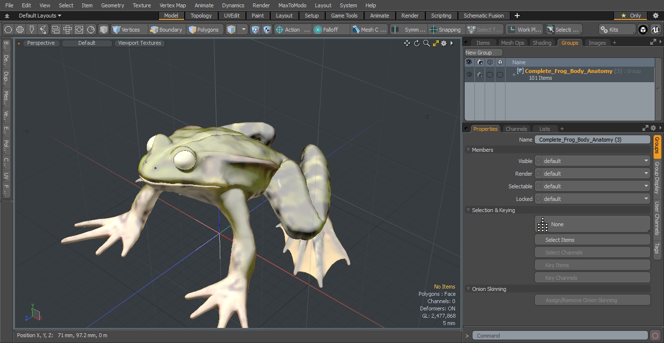 3D Complete Frog Body Anatomy