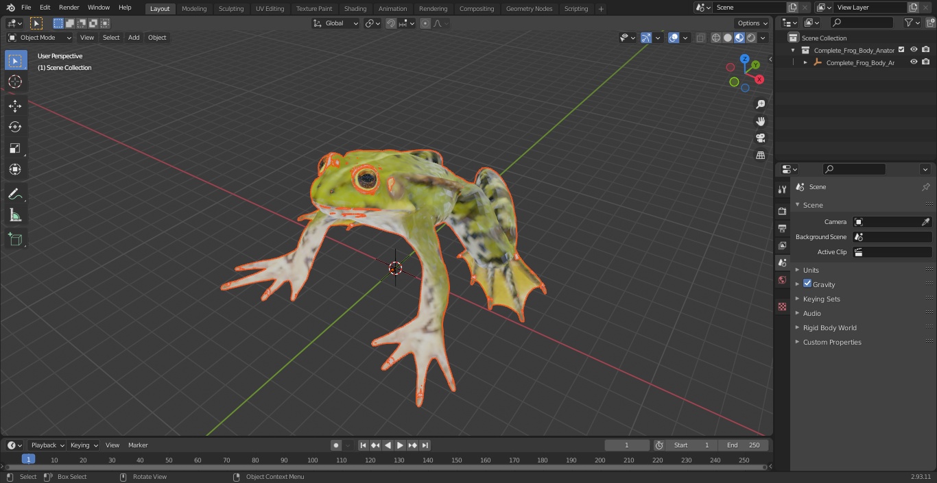 3D Complete Frog Body Anatomy