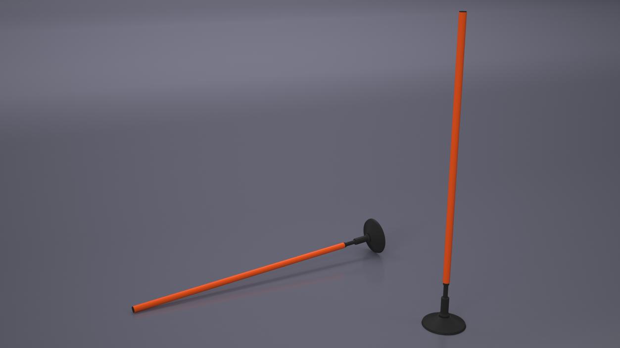 3D Slalom Pole With Base