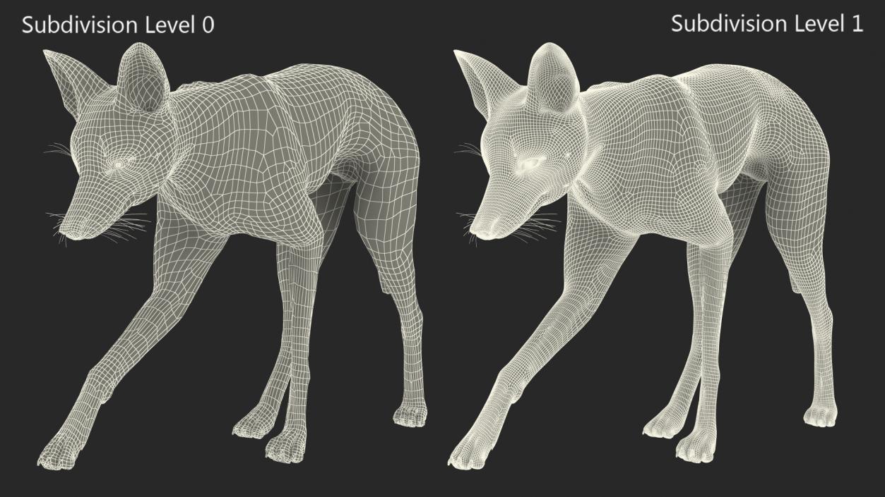 3D Chrysocyon Walking model