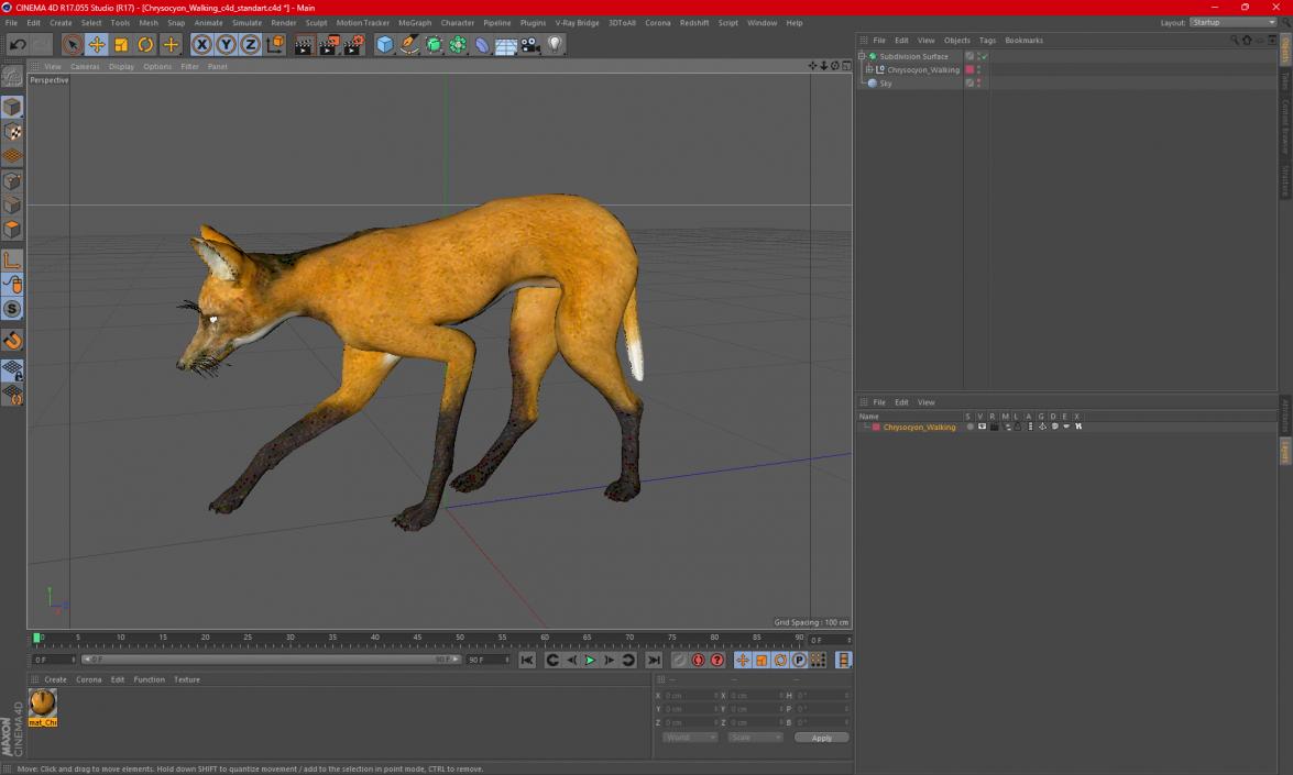 3D Chrysocyon Walking model