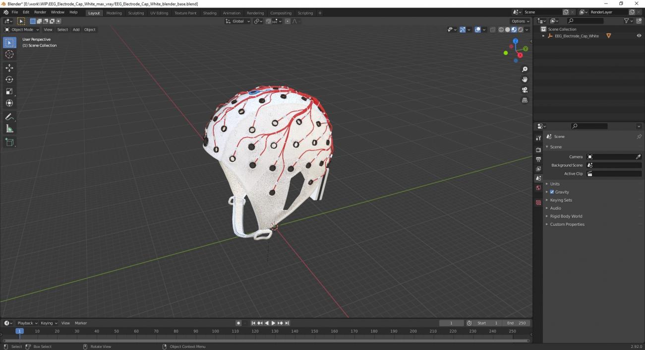 3D EEG Electrode Cap White model