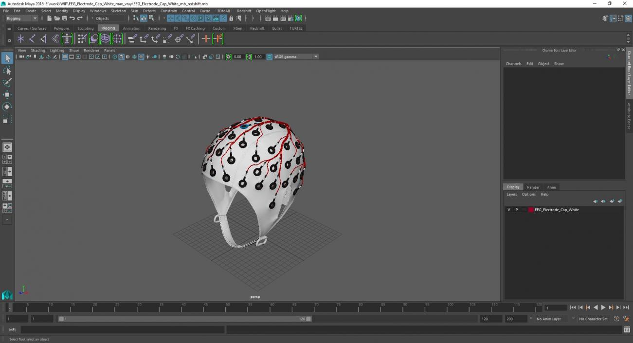 3D EEG Electrode Cap White model