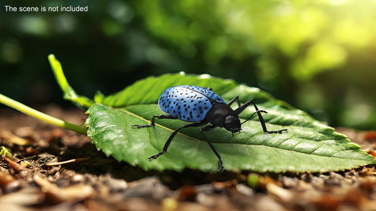 3D Blue Fungus Beetle Insect Fur Rigged