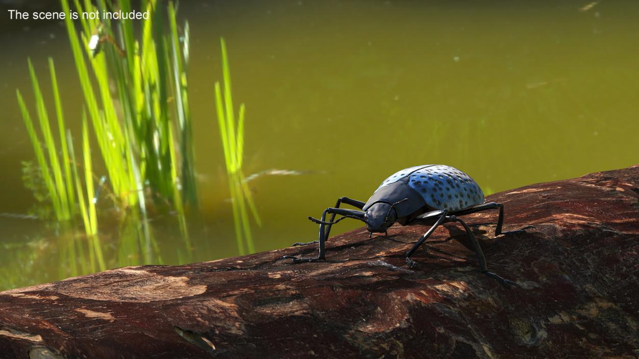 3D Blue Fungus Beetle Insect Fur Rigged