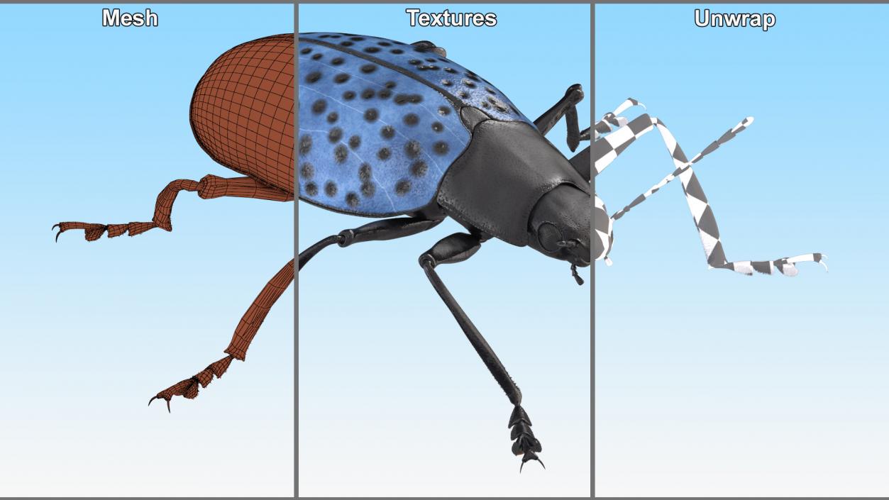 3D Blue Fungus Beetle Insect Fur Rigged