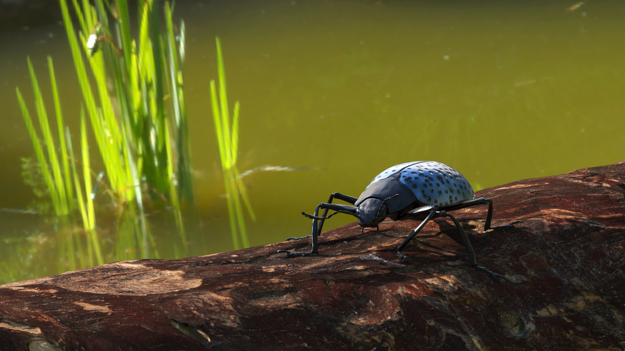 3D Blue Fungus Beetle Insect Fur Rigged