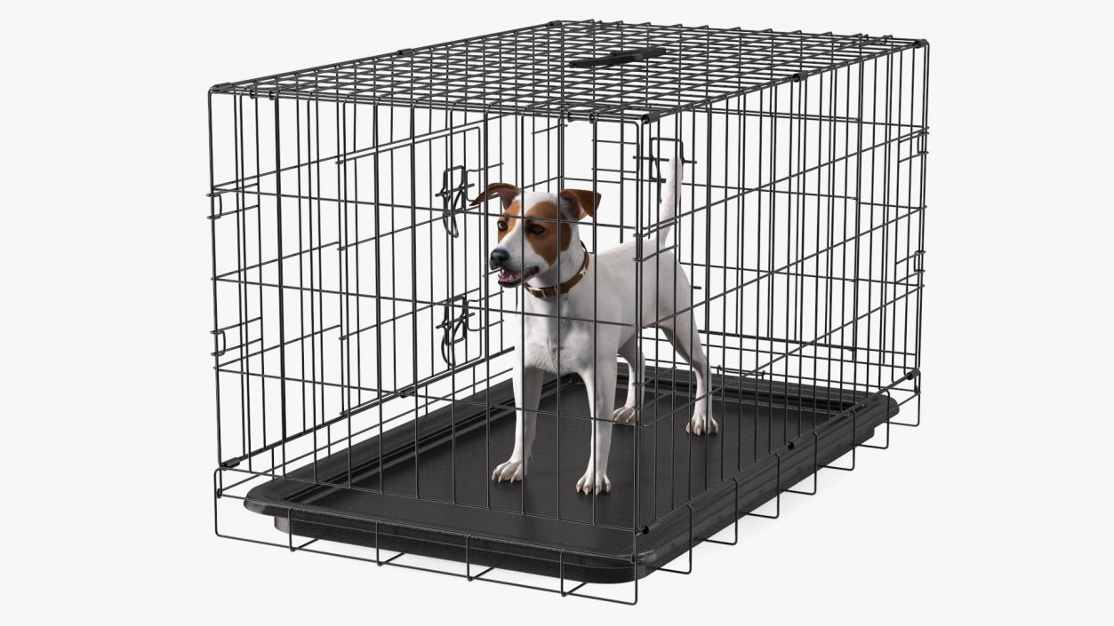 3D Kennel Cage with Jack Russell Terrier Fur