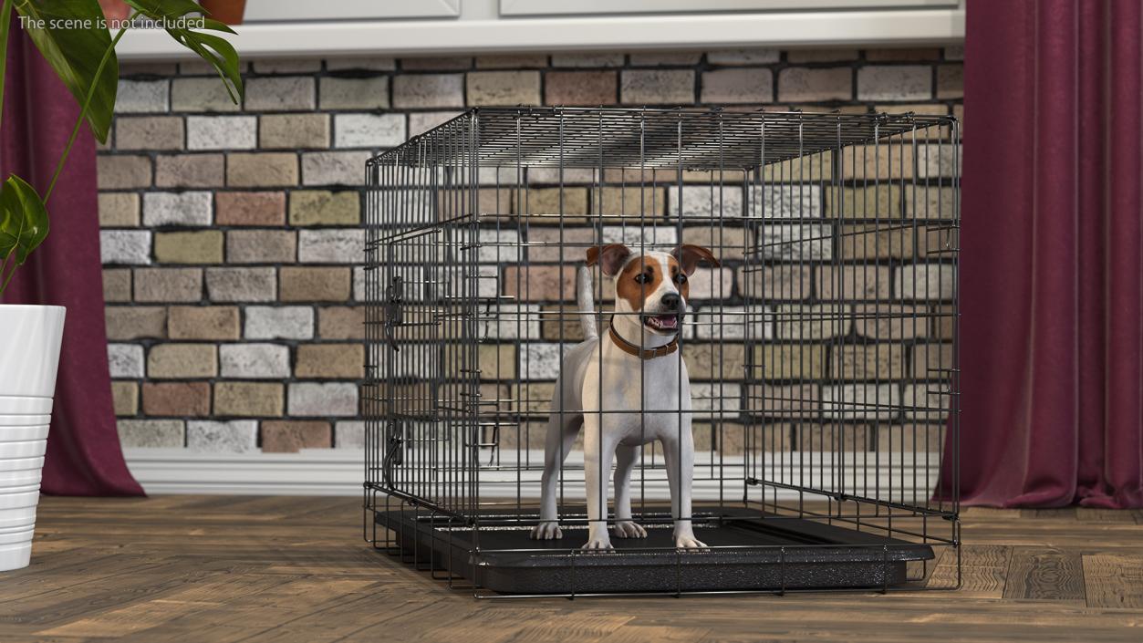 3D Kennel Cage with Jack Russell Terrier Fur