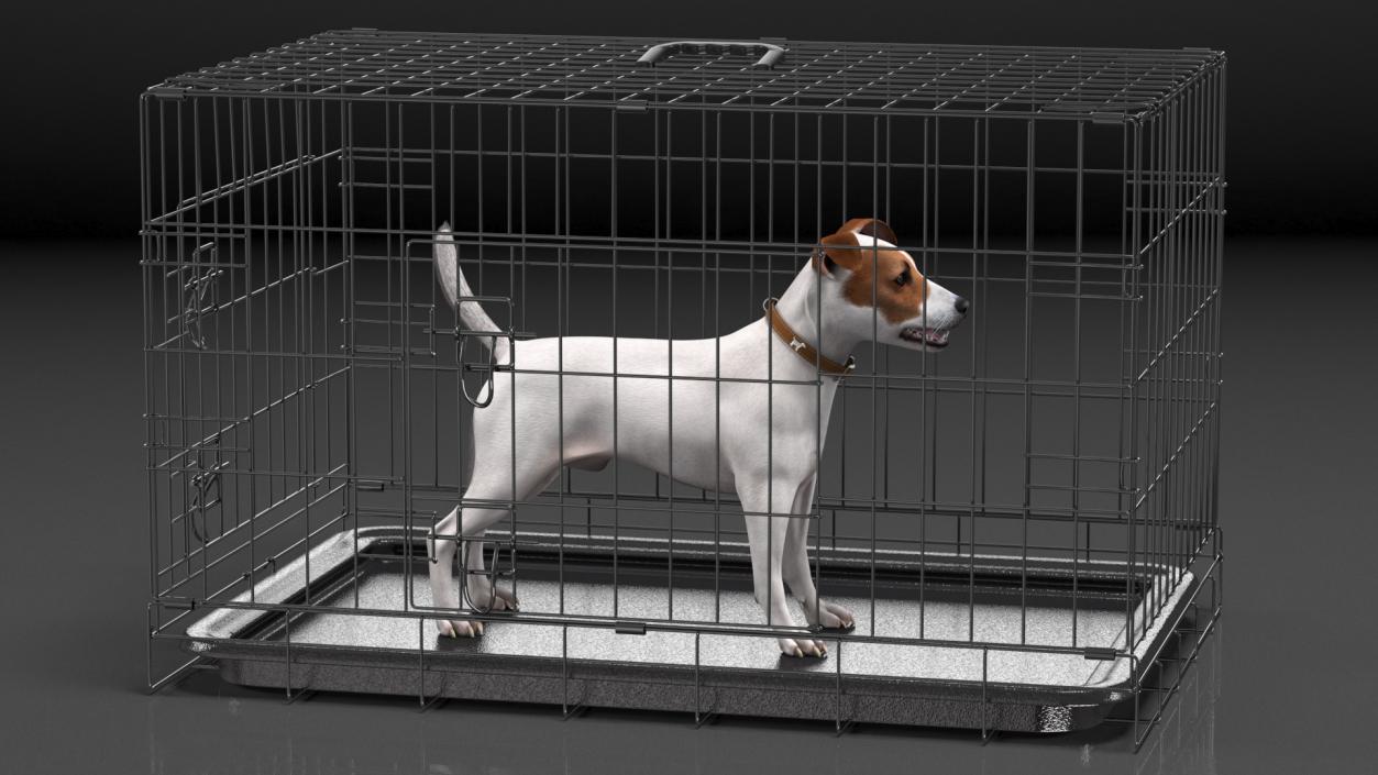 3D Kennel Cage with Jack Russell Terrier Fur