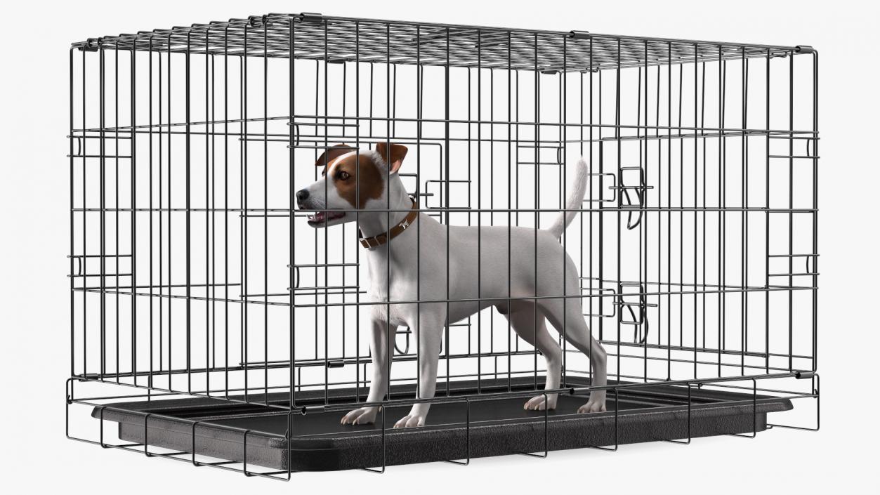 3D Kennel Cage with Jack Russell Terrier Fur