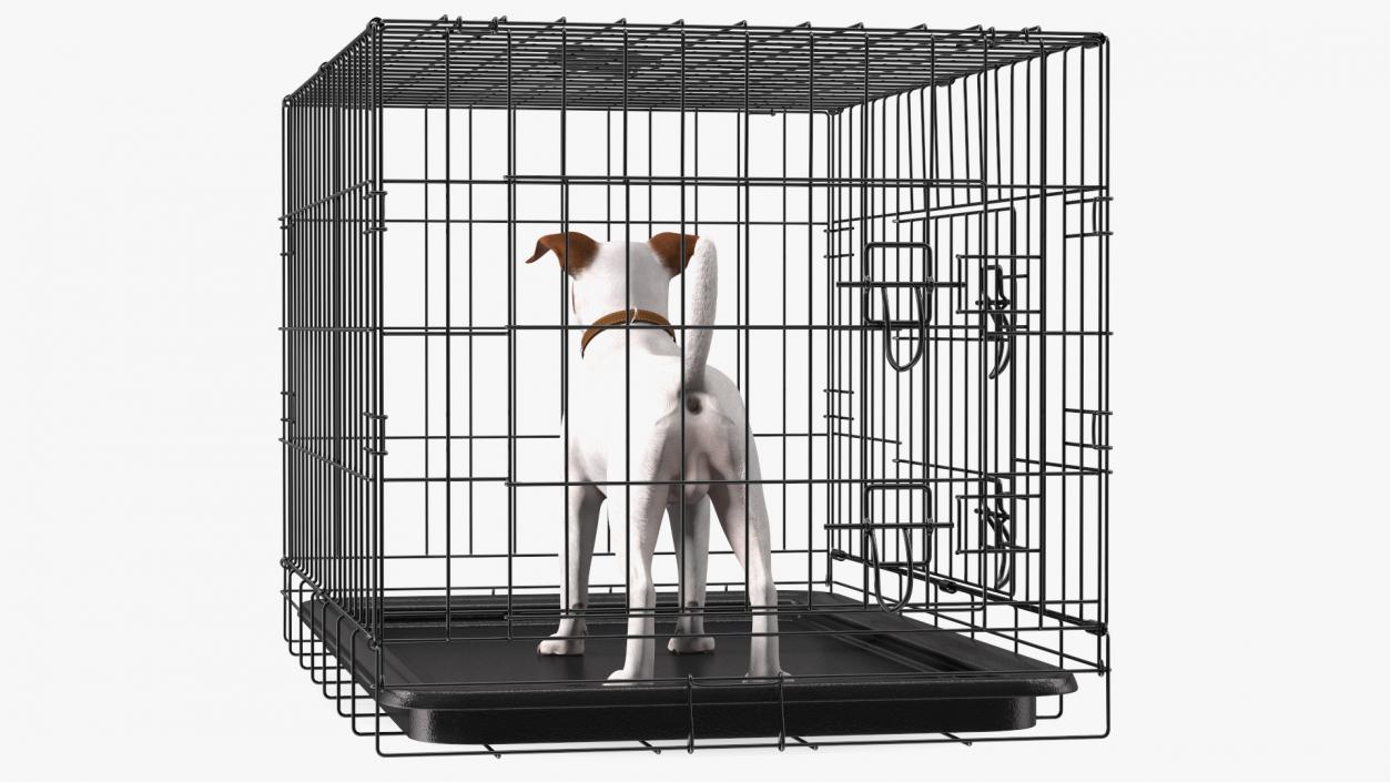 3D Kennel Cage with Jack Russell Terrier Fur