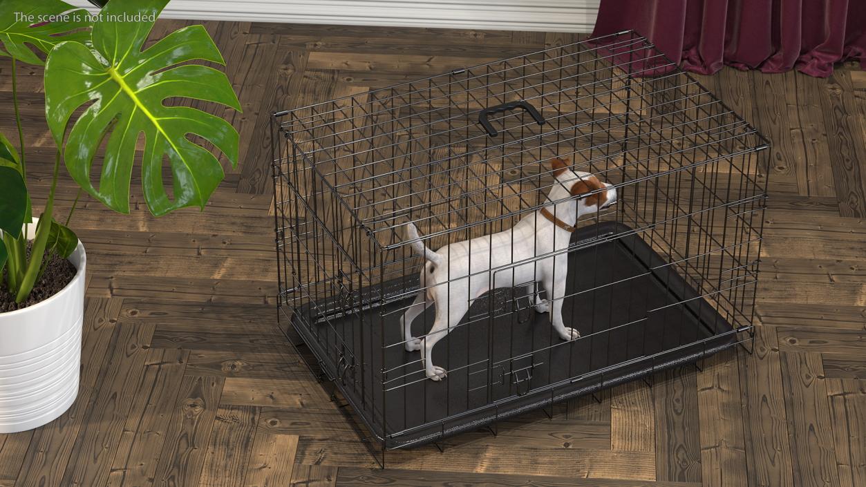 3D Kennel Cage with Jack Russell Terrier Fur