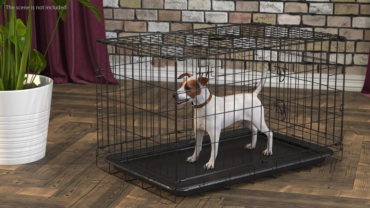 3D Kennel Cage with Jack Russell Terrier Fur