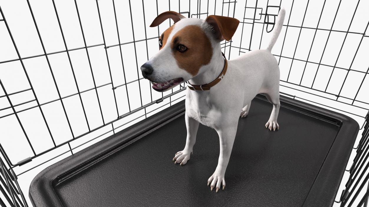 3D Kennel Cage with Jack Russell Terrier Fur