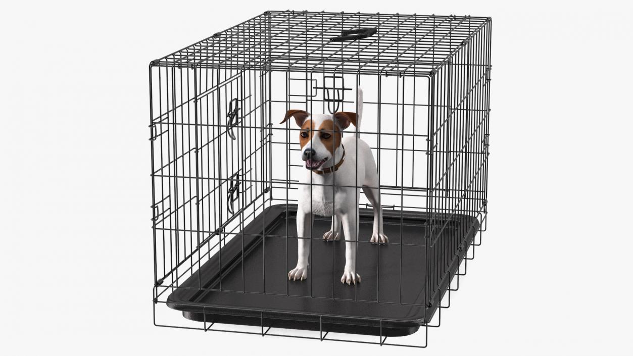 3D Kennel Cage with Jack Russell Terrier Fur