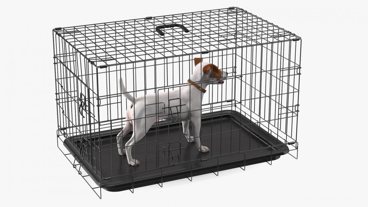 3D Kennel Cage with Jack Russell Terrier Fur