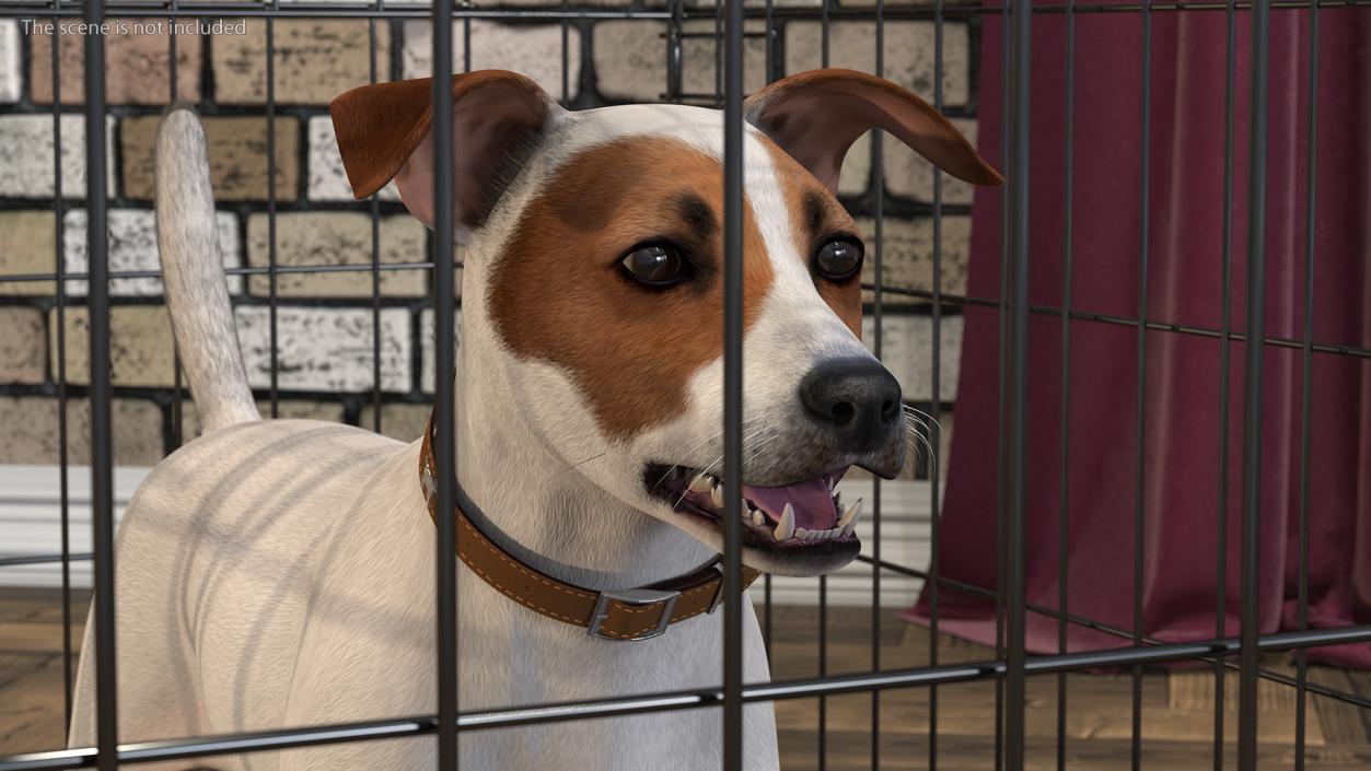 3D Kennel Cage with Jack Russell Terrier Fur