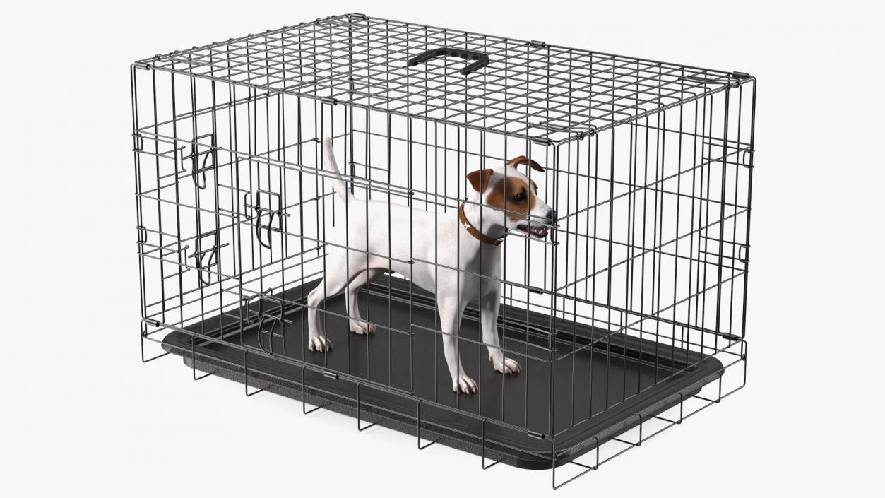 3D Kennel Cage with Jack Russell Terrier Fur