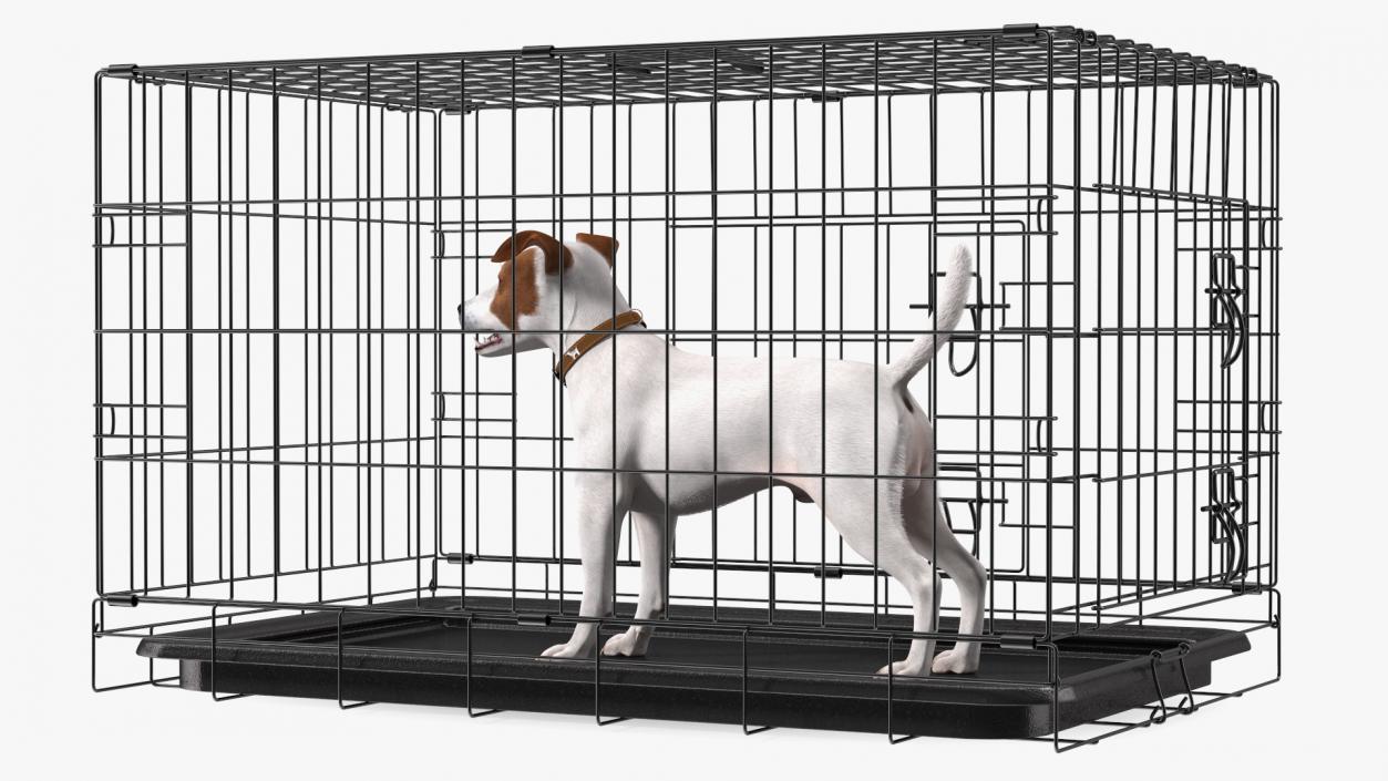 3D Kennel Cage with Jack Russell Terrier Fur