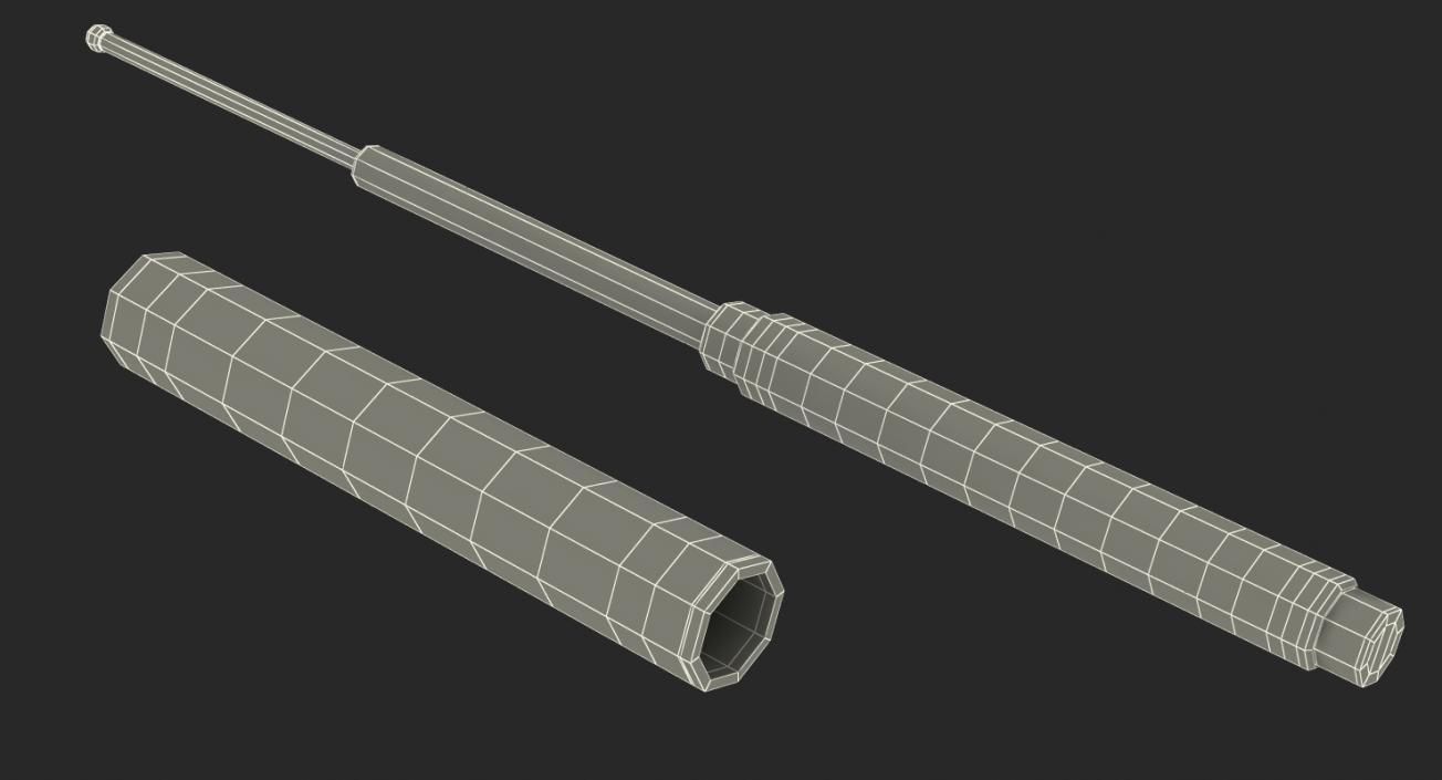 3D Expandable Baton