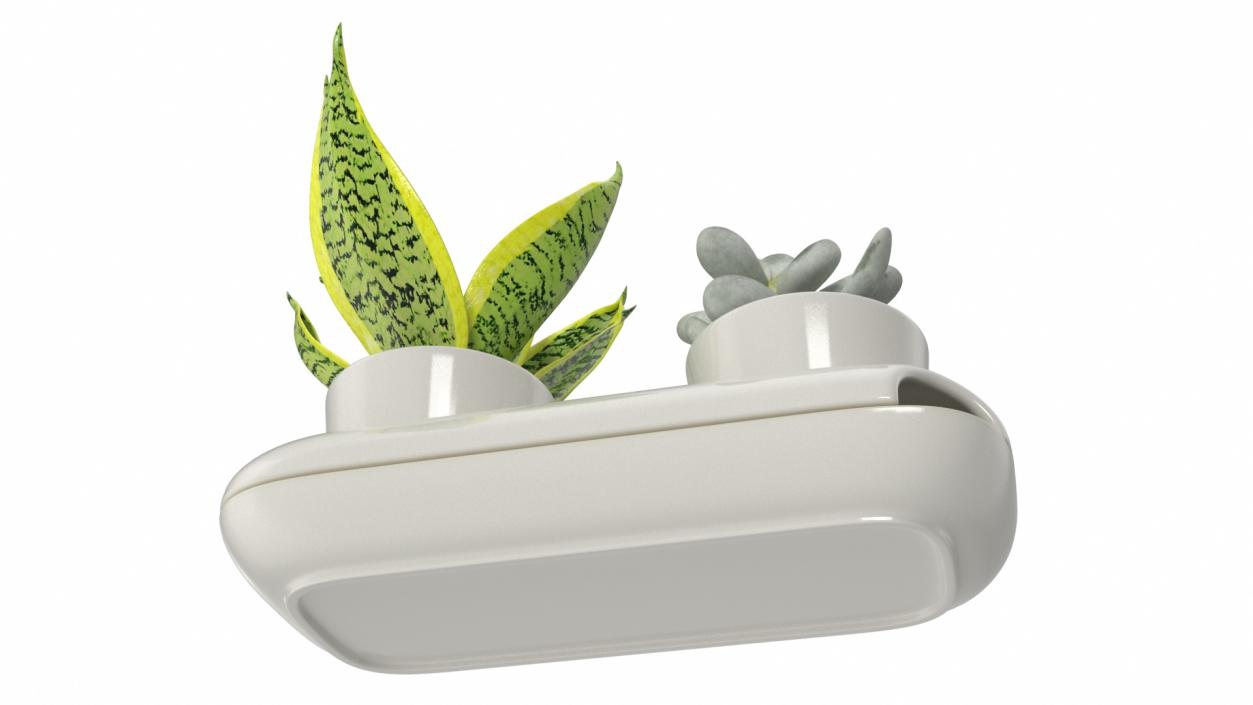 3D Sagaform Fresh Herb Pot Double White