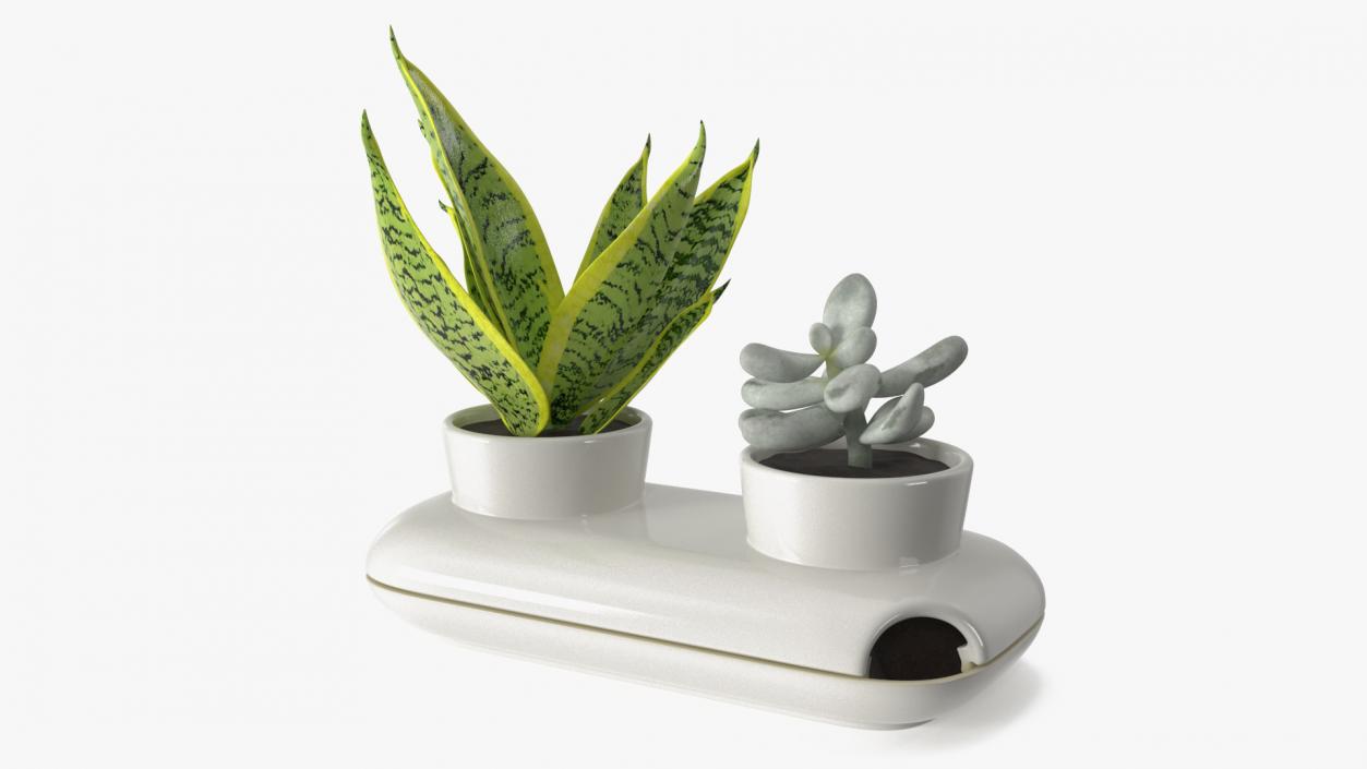 3D Sagaform Fresh Herb Pot Double White