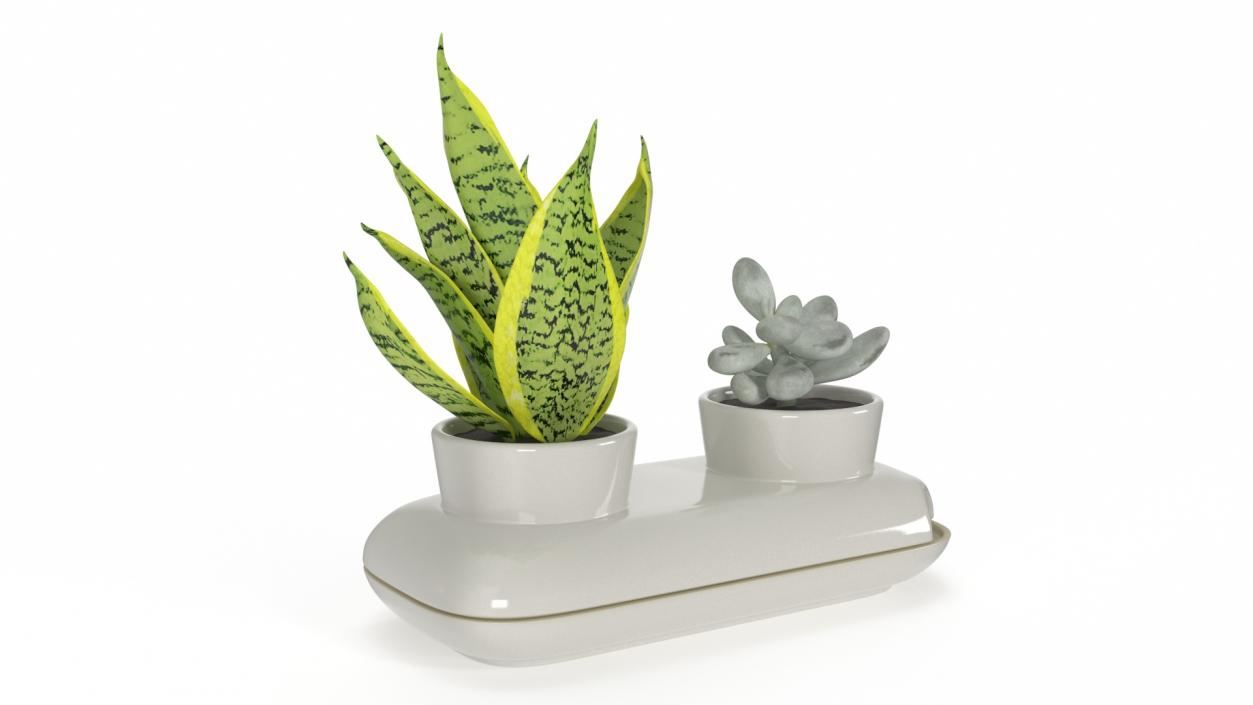 3D Sagaform Fresh Herb Pot Double White