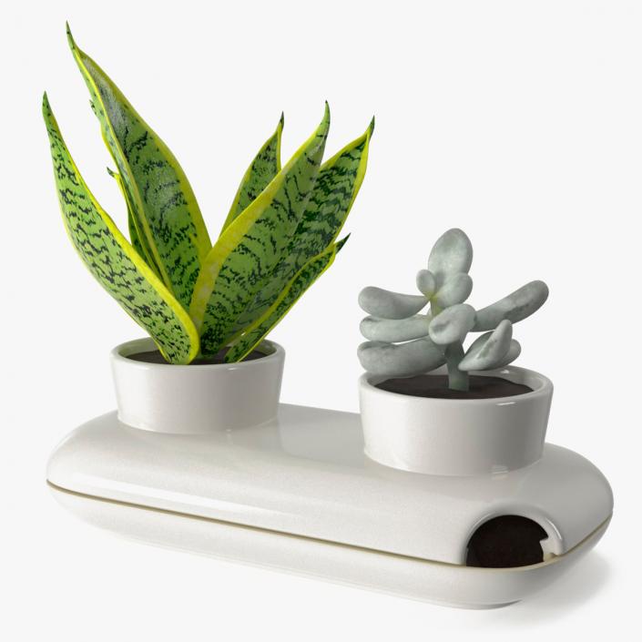 3D Sagaform Fresh Herb Pot Double White