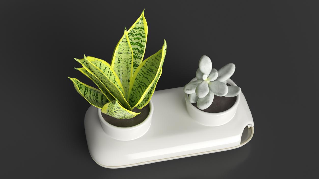 3D Sagaform Fresh Herb Pot Double White