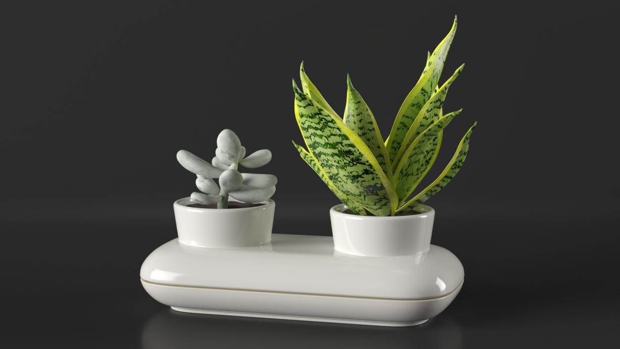 3D Sagaform Fresh Herb Pot Double White