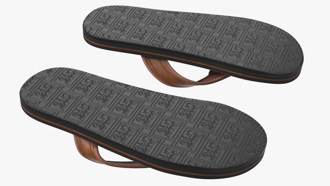 3D Flip Flops Sandals Superdry Brown model