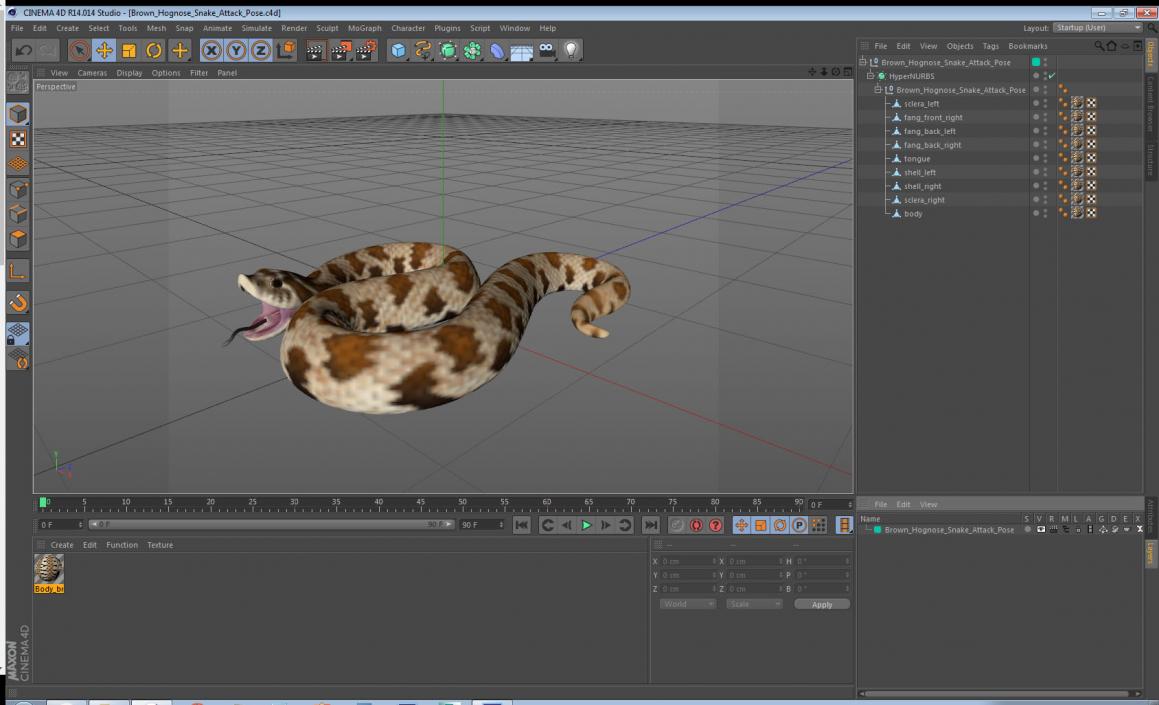 3D Brown Hognose Snake Attack Pose