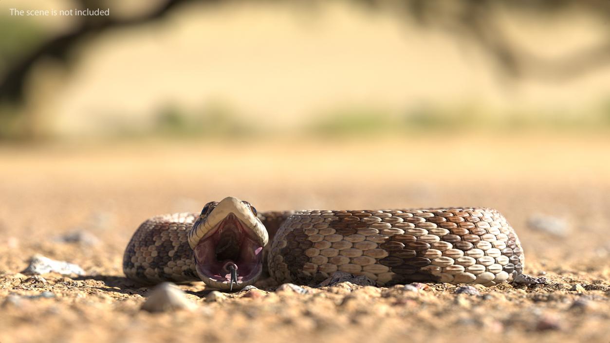 3D Brown Hognose Snake Attack Pose